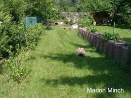 Beim kauf der tiere, schaut euch das gehege des züchters an, schaut euch am besten mehrere züchter an, leider gibt es viele schwarze schafe. Aussengehege