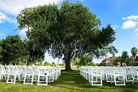 Love The Tree Outdoor Wedding Venues California Wedding Venue Houston Outdoor Wedding Venues