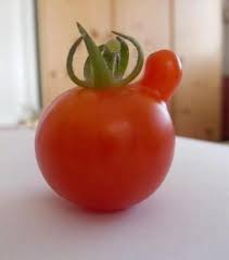 Pin On Funny Vegetables