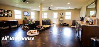 Lil Ruffhouse Cageless Dog Boarding Dog Boarding Dog Boarding Facility Dogs