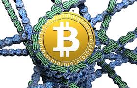 Btc threats & potential disadvantages what could go wrong with bitcoin? What Can Go Wrong With Bitcoin Libra And Other Cryptocurrencies Econlib