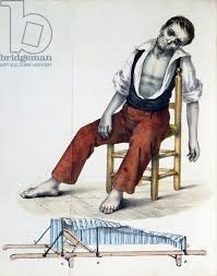 The Sick Rose Disease And The Art Of Medical Illustration Pdf Results For Disease Medical History History Images Art History