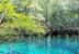 Rainbow Springs State Park