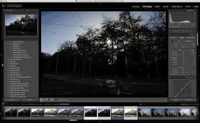 Applying Lightroom S Auto Settings To Multiple Images Thomas Fitzgerald Photography