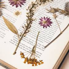 You only need to hydrate your flowers for a few hours. Tutorials On How To Dry Press Flowers To Embed Into Resin Nunn Design