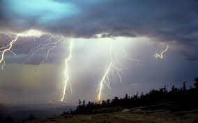 What Happens When Lightning Strikes A Tree Wonderopolis