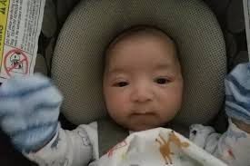 Lisa Satchell (@LisaSatchell9)