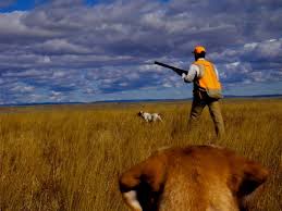 Mt Upland Bird Hunts 6x Outfitters6x Outfitters Upland Bird Hunting Bird Hunting Sporting Dogs