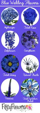 Maybe you would like to learn more about one of these? Find Your Something Blue At Fiftyflowers Com Blue Wedding Flowers Wedding Flower Guide Wedding Flowers Hydrangea