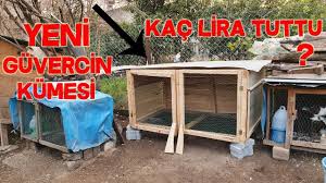 Yeni Guvercin Kumesim Maliyeti Malzeme Listesi Youtube