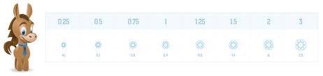 Diamond carat weight to size chart. Diamond Carat Size Chart Mm Actual Size Comparisons