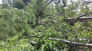 Bucăţi de tablă şi zeci de ţigle de pe acoperişurile caselor au fost ridicate în văzduh de urgia naturii. RÄzboieni Localnicii Spun CÄ A Fost TornadÄ