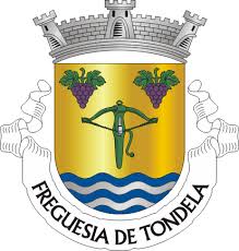 All scores of the played games, home and away stats, standings table. Tondela Wikipedia