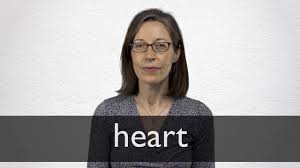 Hindi Translation Of Heart Collins English Hindi Dictionary