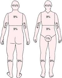 Burns Dermatology Medbullets Step 2 3