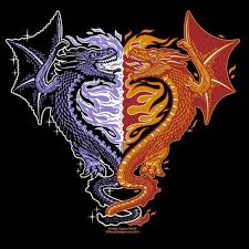 A look back at the legendary drachen fire at busch gardens drachen fire was an infamous roller coaster that lived in the rhineland, germany section of busch gardens williamsburg from 1992 to 1998. Ice Fire T Shirt Small Dragon Tattoos Fire And Ice Dragons Dragon Pictures