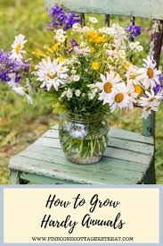 Maybe you would like to learn more about one of these? Pin On Annuals