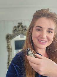 So the other day I found a headless dead mouse in my house and just now  came home to find a bird 🐦 alive in my front room x safe to say