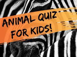 When parents set out to find the top zoos in the country, we identified 50 where kids can pet and often feed the wildlife. Multiple Choice Quiz For Kids Fun Animal Trivia Questions Wehavekids