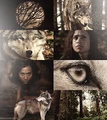 Halloween aesthetics // werewolf aesthetic. Log In Tumblr Werewolf Aesthetic Witch Aesthetic Werewolf
