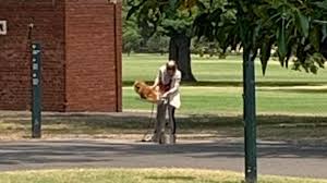 Check spelling or type a new query. Melbourne Woman Appears To Wash Dog S Bottom In Park Bubbler