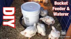 Five Gallon Bucket Projects Are A Great Way To Upcycle Old Buckets Reuse Items You Have Laying Aroun Chicken Feeder Diy Chicken Feeder Homemade Chicken Feeder