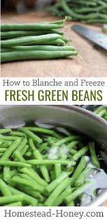 Fresh green beans are often available from local gardens and farmer's markets for a short period each summer. How To Blanche And Freeze Fresh Green Beans Homestead Honey