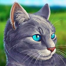 Play as a real cat, … Cat Simulator Animal Life Apps On Google Play