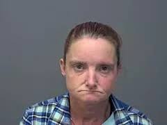 The Baxter County Sheriff's Office reports several drug arrests.