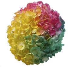 Rainbow flowers are made with food dye or floral dye, which is then absorbed into white roses. Tie Dye Yellow Hot Pink Rainbow Flowers Hydrangea Wholeblossoms Com