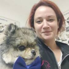 Nir Golan dogs Training and Pension