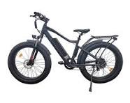 26 بوصة ebike مع إطارات الدهون - دراجة كهربائية