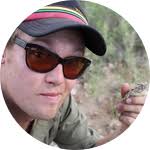 Do Hummingbirds Actually Sleep?