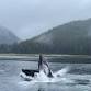 Four Elements Retreat: A Sacred Alaska Immersion
