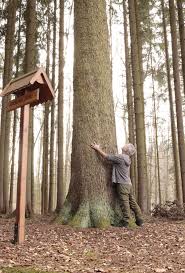 Máme v Karlových Varech tři .. to je jedna z nich .... největších