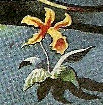 Flowers by jodie lee are looking to employ a motivated, creative, bubbly person to join our team. Flower Tardis Fandom