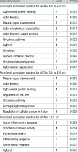 Protein Functional Annotation Clusters For Ascending