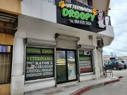 Veterinaria Droopy