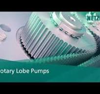 TORNADO® Rotary Lobe Pumps - NETZSCH Pumps & Systems