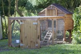 We did not find results for: 37 Backyard Chicken Coop Ideas And Types Photos And Charts Home Stratosphere