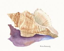 I am using qor watercolors by golden. Conch Seashell Watercolor Painting Conch Shell Art Print Etsy In 2021 Shell Art Print Seashell Painting Shell Art