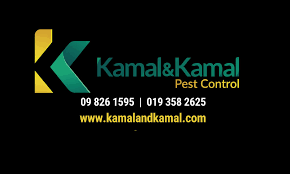 Among the pest control services that we offer in malaysia are. Kamal Kamal Pest Control Terengganu Home Facebook