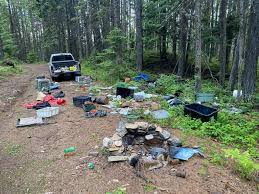 We did not find results for: Illegal Trash Dump Site Under Investigation In Kootenai National Forest Abc Fox Kalispell Montanarightnow Com