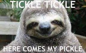Creepy Sloth Smiling Animals Happy Animals Creepy Sloth