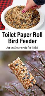Bird Feeder Crafts For Kids Toilet Paper Roll Bird Feeder Fireflies And Mud Pies In 2020 Bird Feeder Craft Bird Feeders For Kids To Make Homemade Bird Feeders