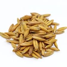 Just like canola, winter wheat performs better if seeded at speeds closer to 4 mph than. Bob Oats 50 Lb Bag Mbs Seed