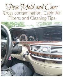 The mold must be removed and killed to prevent its spread, and if it's left untreated, there's no doubt that it will get out of control. Toxic Mold And Cars It Takes Time Toxic Mold Mold Exposure Mold Allergy
