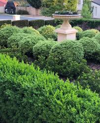 With many years experience in the trade, the landscape gardeners at dougie's garden services ltd provide outstanding landscaping services to. Gardening And Landscaping Designers Canberra Gardengigs