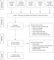 rumination in bipolar disorder a systematic review