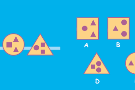 Oab paraíba aciona comissão de direitos. Kinderratsel Knobeln Ratseln Geolino